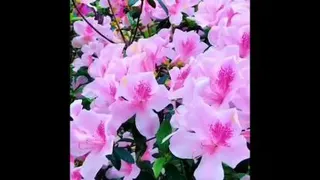 بخند و شاد باش. سپاسگزار تمام چیزهای خوب در زندگی ات باش.
