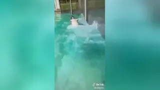 زندگی پسری با حیوانات