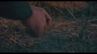 🎥 نماهنگ | هشت پیکر می‌رود سوی بهشت ‌‌‌