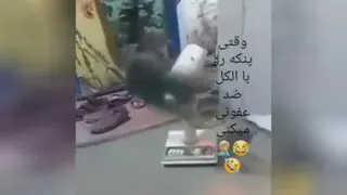 طنز است