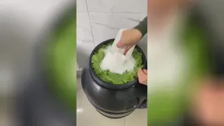 نگهداری برگ