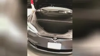 شما رو با این مدل تسلا تنها میزارم