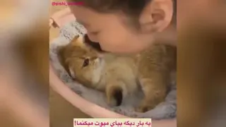 بهم نزدیک نشو😂♥️