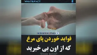 فواید خوردن پای مرغ😳