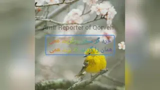 معرفی مدرسه علامه حلی