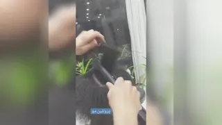 آرایشگاه بِلَک مود