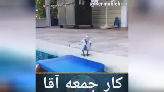 کار جمعه 😂😂