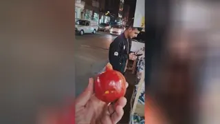 شب یلدا با تکدو