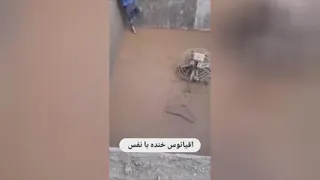 پر از خنده