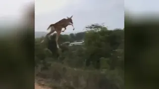 از هوا هم برای فشار به جلو کمک گرفت 😜😅