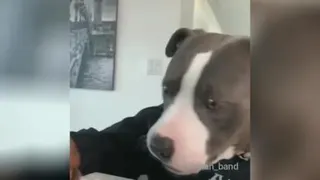 این خیلی خوبه😂