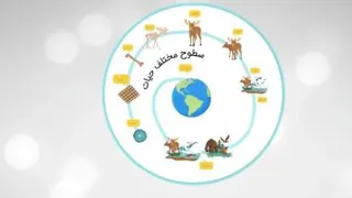 سطوح مختلف حیات