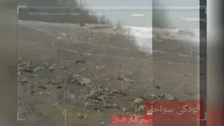 محیط زیست