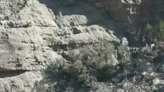 موسیقی قشقایی