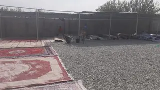 قالیشویی داریوش