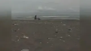 بدون شرح