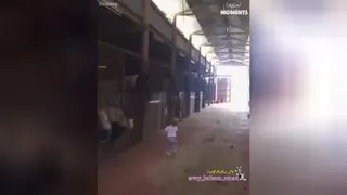 انسانم ارزو است 😍
