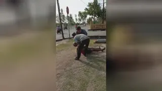 اینم اخرعاقبت بریدن درخت
