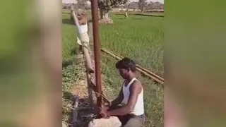 کشاورزی با کمترین امکانات