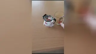 خرید عمده زعفران خراسان رضوی