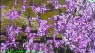 حس خوب