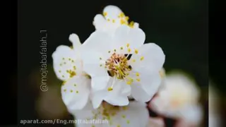 موسیقی انگیزشی، صبح پرانرژی