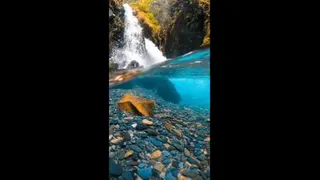 #طبیعت