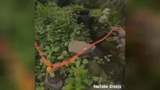 هیولاست