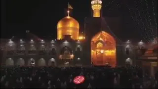 سید رضا نریمانی