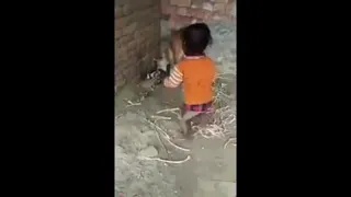 وفاداری سگ به بچه هایش