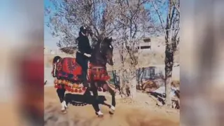 سوارکاری