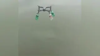 پهباد