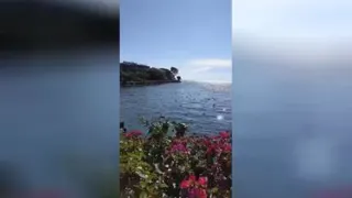 قشنگی خلقت