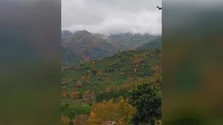 حال خوب و طبیعت زیبا