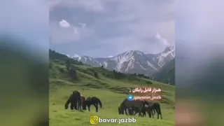 زمان رسیدن به خواسته ها