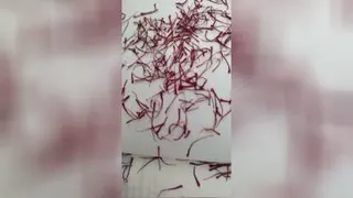 خرید زعفران درجه یک در بیرجند
