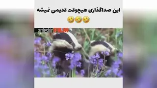صداگذاری طنز