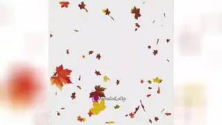 کلیپ تولد