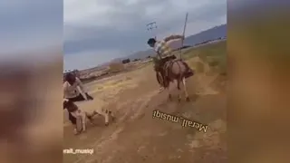 فیلم خنده دار