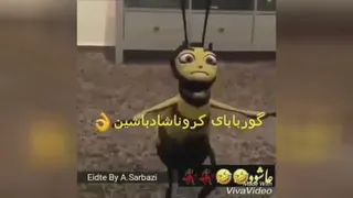 شاد باشید