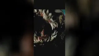 نکات جالب فیلم ونوم