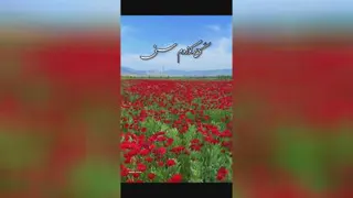 موسیقی روز دختر