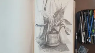 طراحی طبیعت بیجان. کل به جز