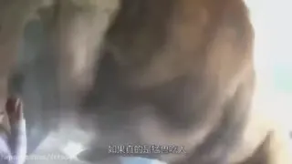 حمله مرگبار حیوانات به انسان