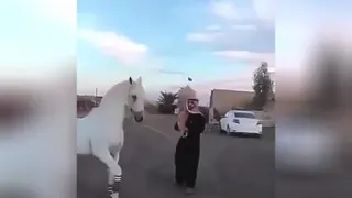 انیشا زیباترین اسب