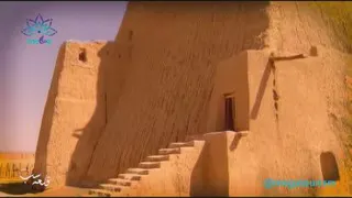 نگاه مگا