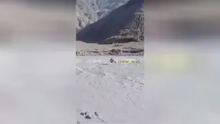 انتقال گوسفند
