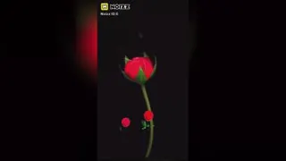 میلاد امام رضا علیه السلام مبارک باد 🎊