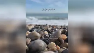 بدون شرح
