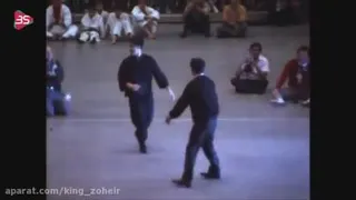 استاد بزرک بروسلی
